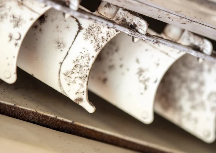 Smell Dilemma Understanding and Solving Air Conditioner Odors